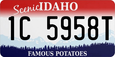 ID license plate 1C5958T