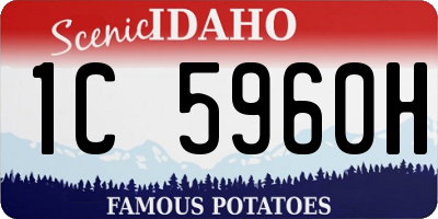 ID license plate 1C5960H