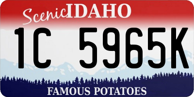 ID license plate 1C5965K