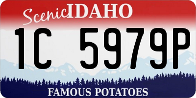 ID license plate 1C5979P