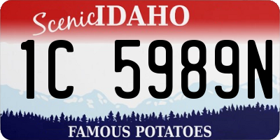 ID license plate 1C5989N