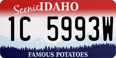 ID license plate 1C5993W