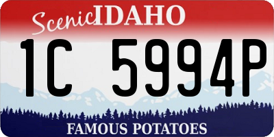 ID license plate 1C5994P