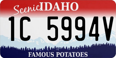 ID license plate 1C5994V