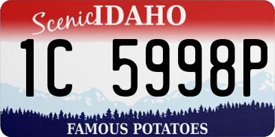 ID license plate 1C5998P