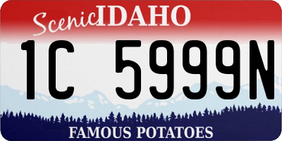 ID license plate 1C5999N