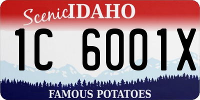 ID license plate 1C6001X