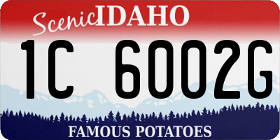 ID license plate 1C6002G