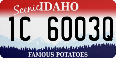 ID license plate 1C6003Q