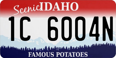 ID license plate 1C6004N