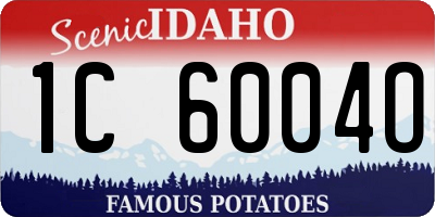 ID license plate 1C6004O