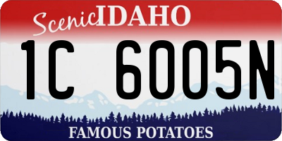 ID license plate 1C6005N