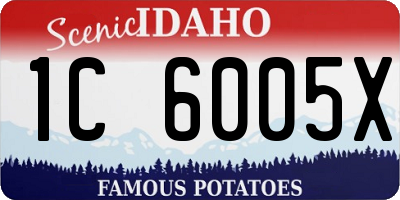 ID license plate 1C6005X