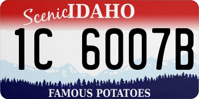 ID license plate 1C6007B