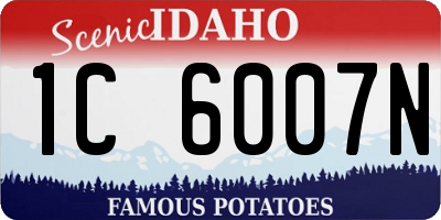 ID license plate 1C6007N