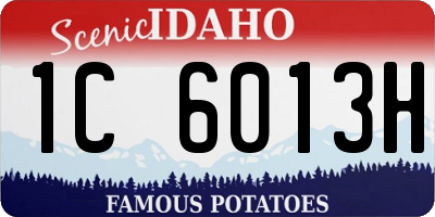 ID license plate 1C6013H