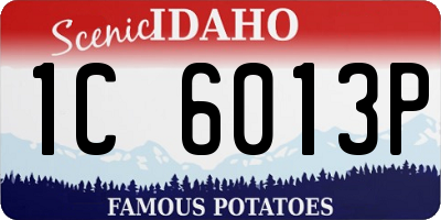 ID license plate 1C6013P