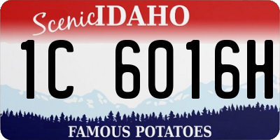 ID license plate 1C6016H