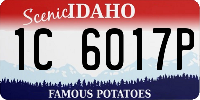 ID license plate 1C6017P