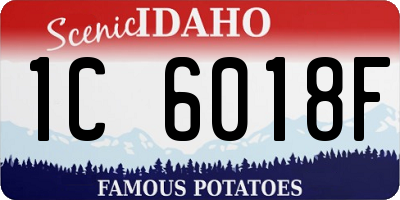 ID license plate 1C6018F