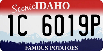 ID license plate 1C6019P