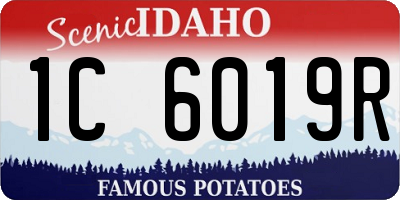ID license plate 1C6019R
