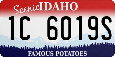 ID license plate 1C6019S