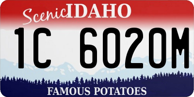 ID license plate 1C6020M