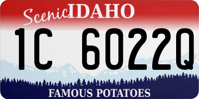 ID license plate 1C6022Q