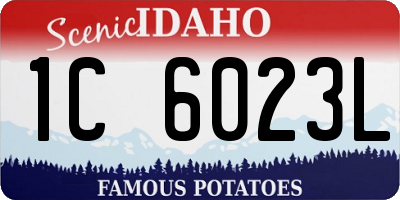 ID license plate 1C6023L