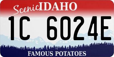 ID license plate 1C6024E