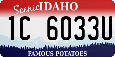 ID license plate 1C6033U