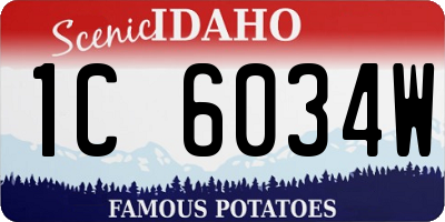 ID license plate 1C6034W