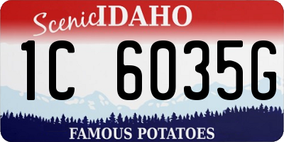 ID license plate 1C6035G