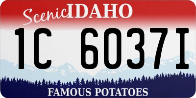 ID license plate 1C6037I