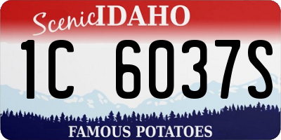 ID license plate 1C6037S