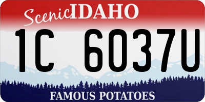 ID license plate 1C6037U