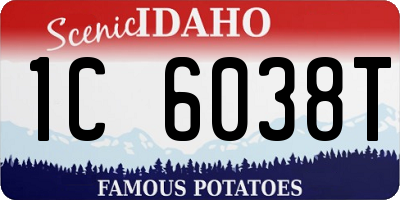 ID license plate 1C6038T