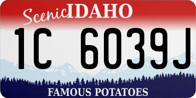 ID license plate 1C6039J