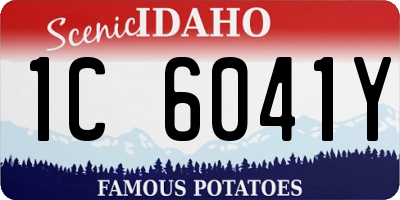 ID license plate 1C6041Y