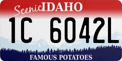 ID license plate 1C6042L