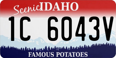 ID license plate 1C6043V