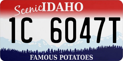 ID license plate 1C6047T