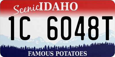 ID license plate 1C6048T