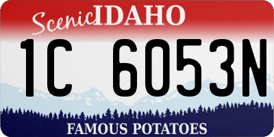 ID license plate 1C6053N