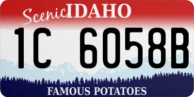 ID license plate 1C6058B
