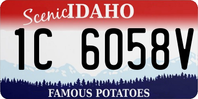 ID license plate 1C6058V
