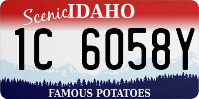 ID license plate 1C6058Y