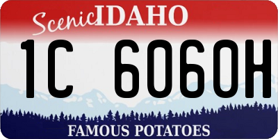 ID license plate 1C6060H