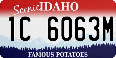 ID license plate 1C6063M